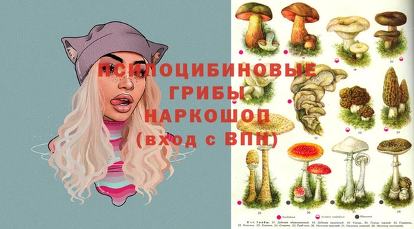 прущая мука Алзамай